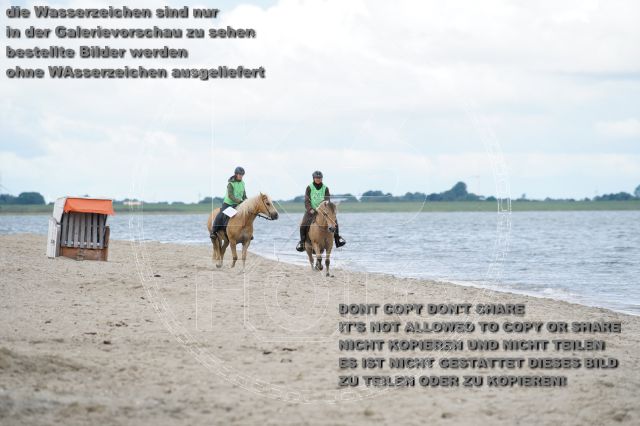 s_K3F04995.JPG